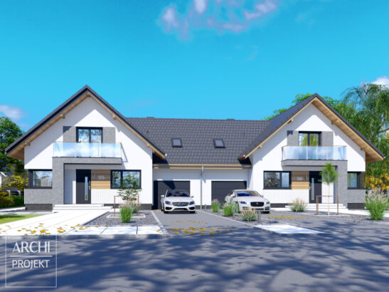 APS 209 NEW DWULOKALOWY