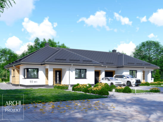 APS 093 wariant 3 DWULOKALOWY